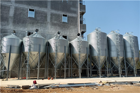 �B(y��ng)ֳ����������Ҏ(gu��)������